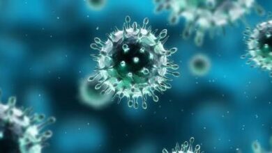 senja kala virus corona
