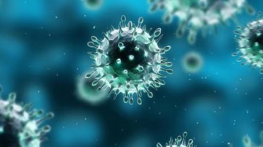 senja kala virus corona
