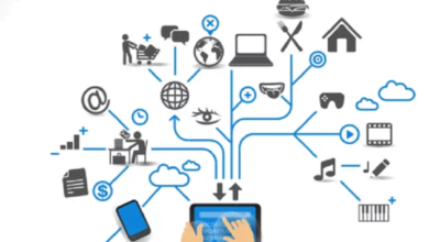 digital culture
